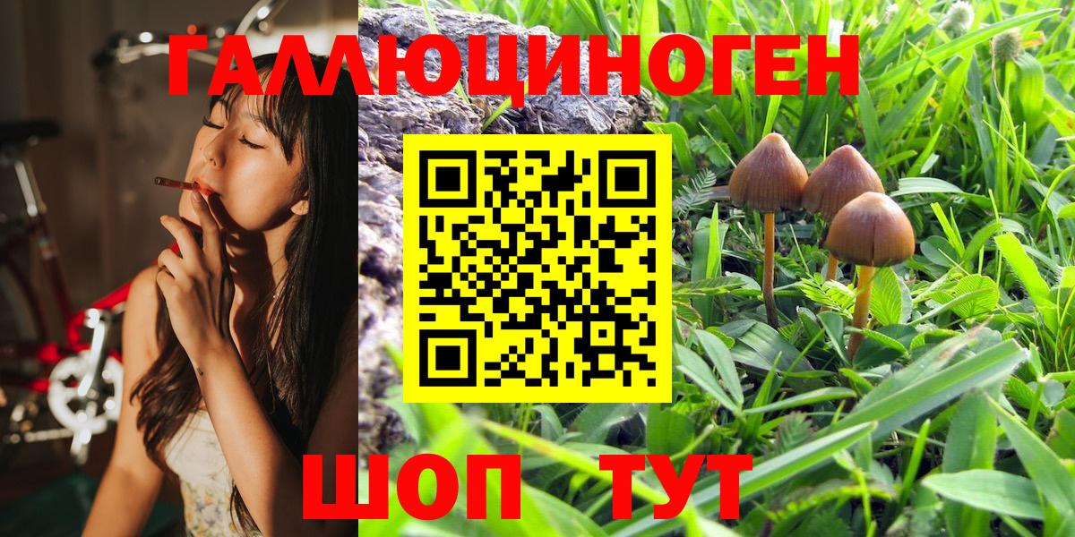 Псилоцибиновые грибы GOLDEN TEACHER  наркотики  Березники 
